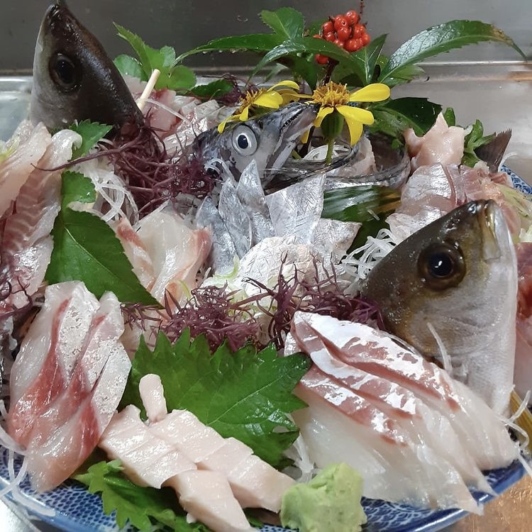 南伊豆は潮回りが抜群!海釣りを楽しむのに最適です!