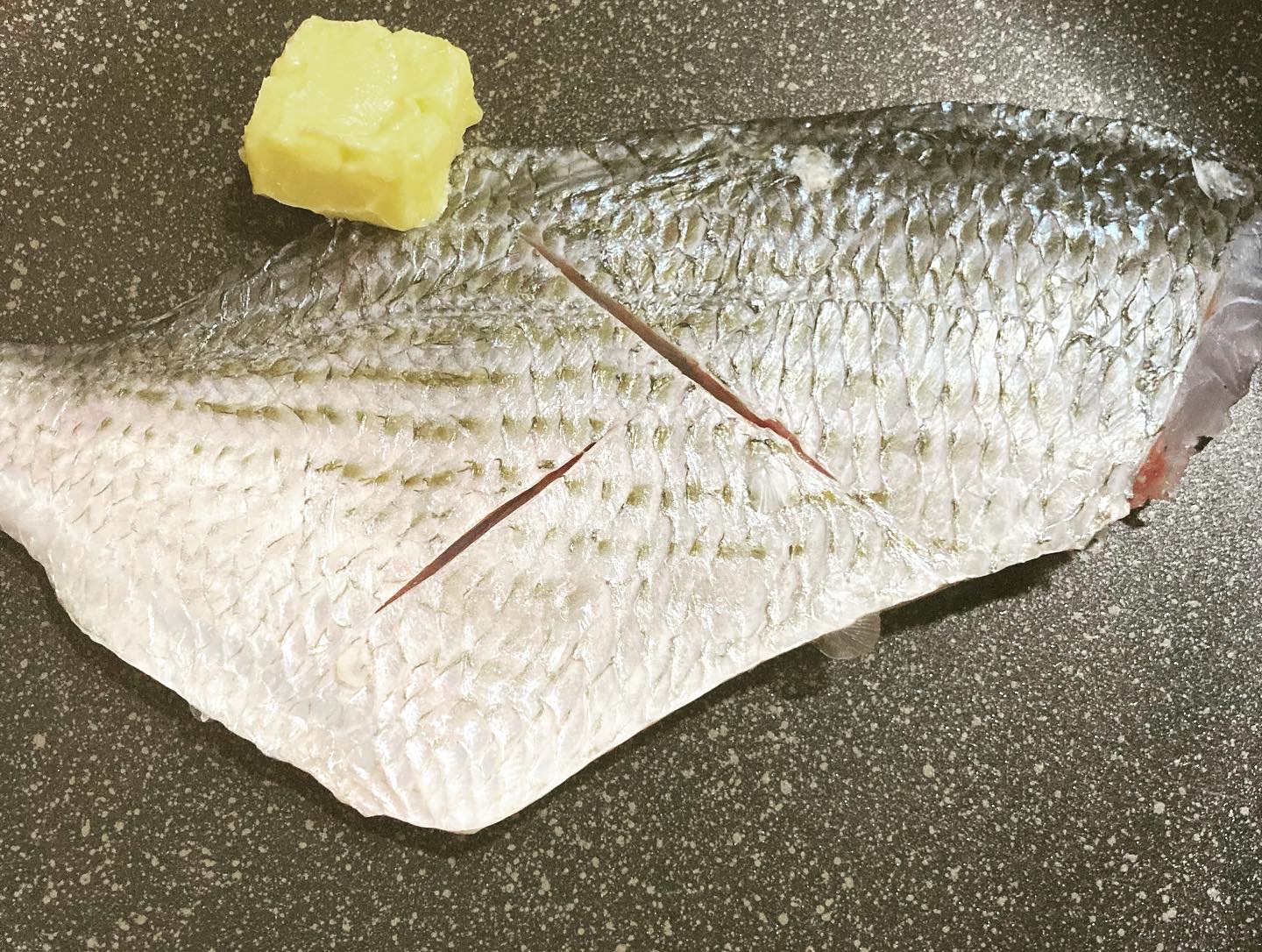  タイトル文（8）