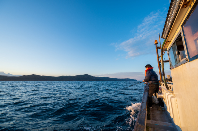  タイトル文（7）