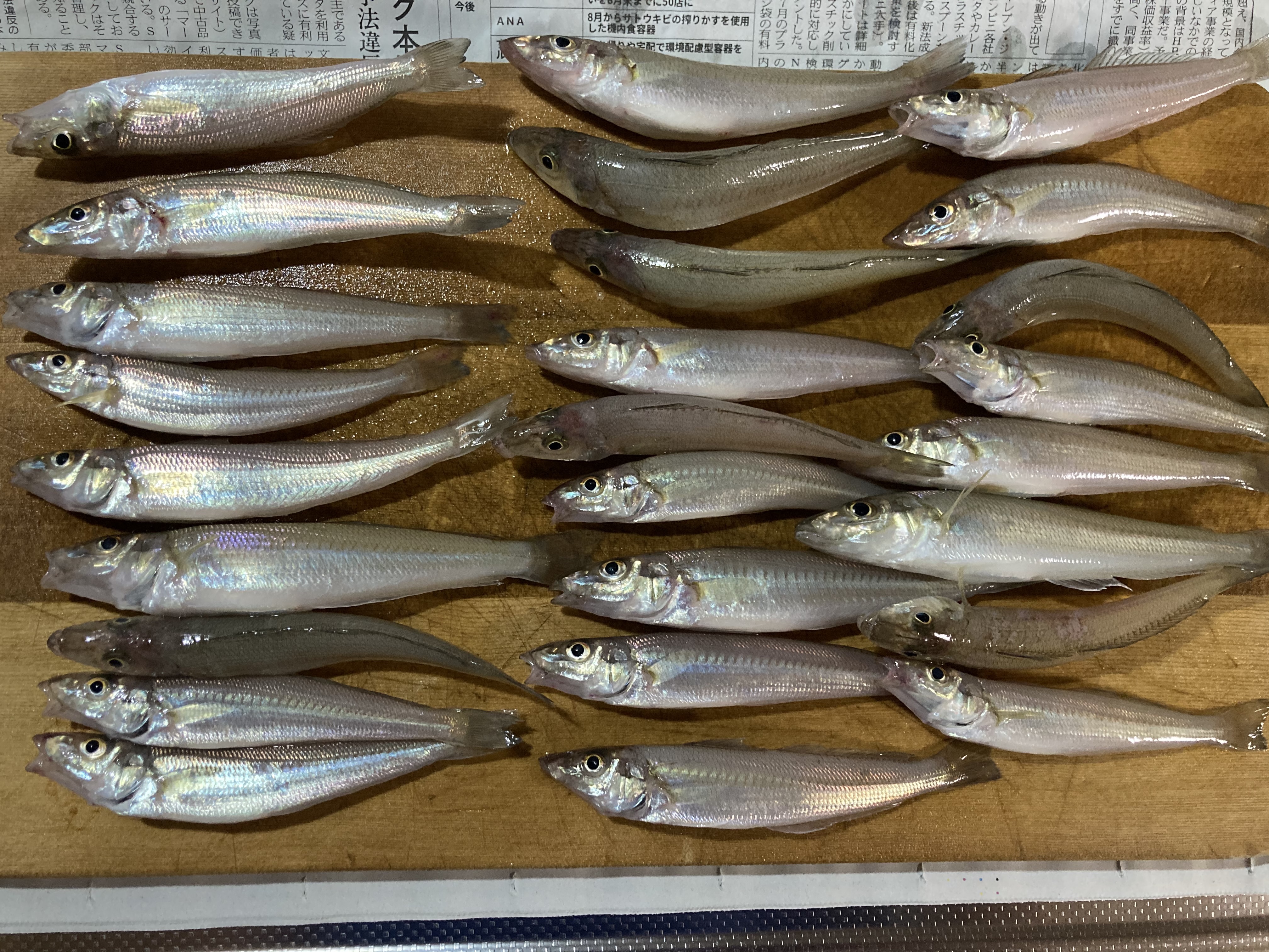  タイトル文（7）