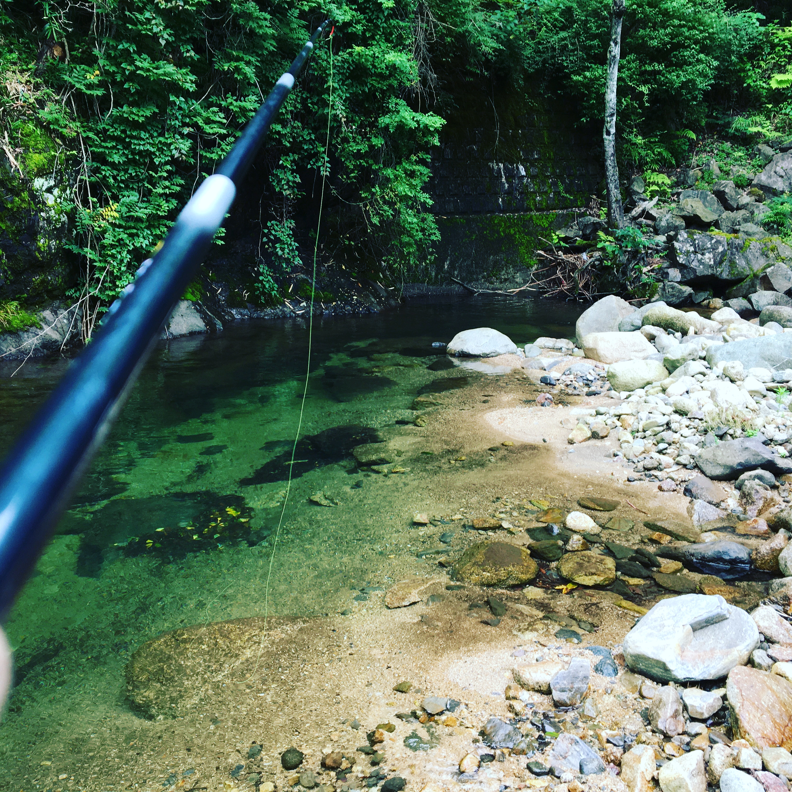  タイトル文（9）