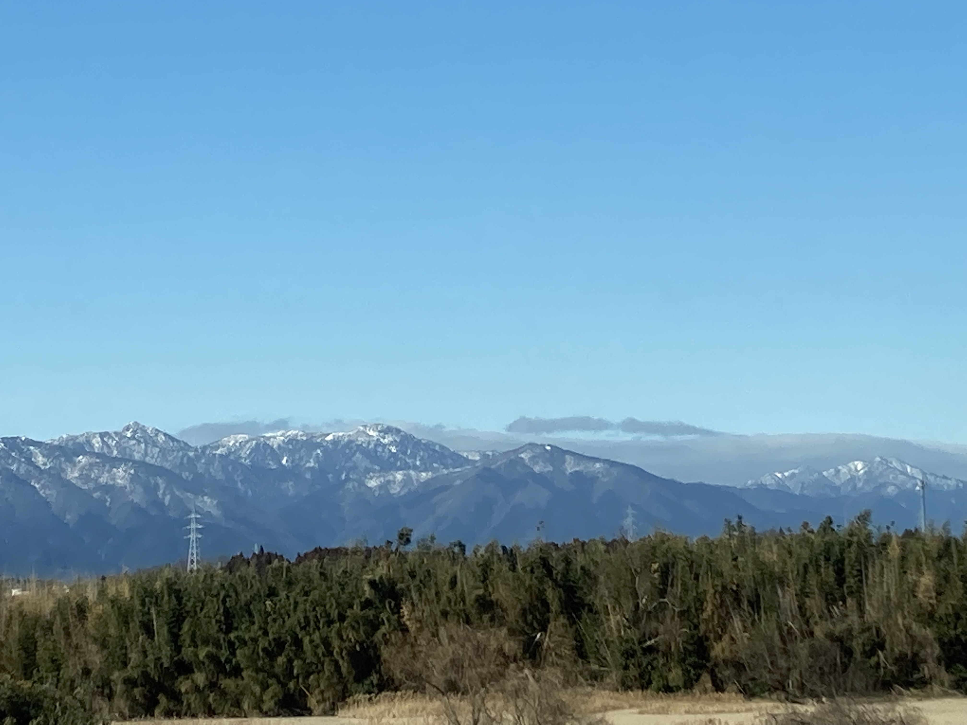  タイトル文（3）