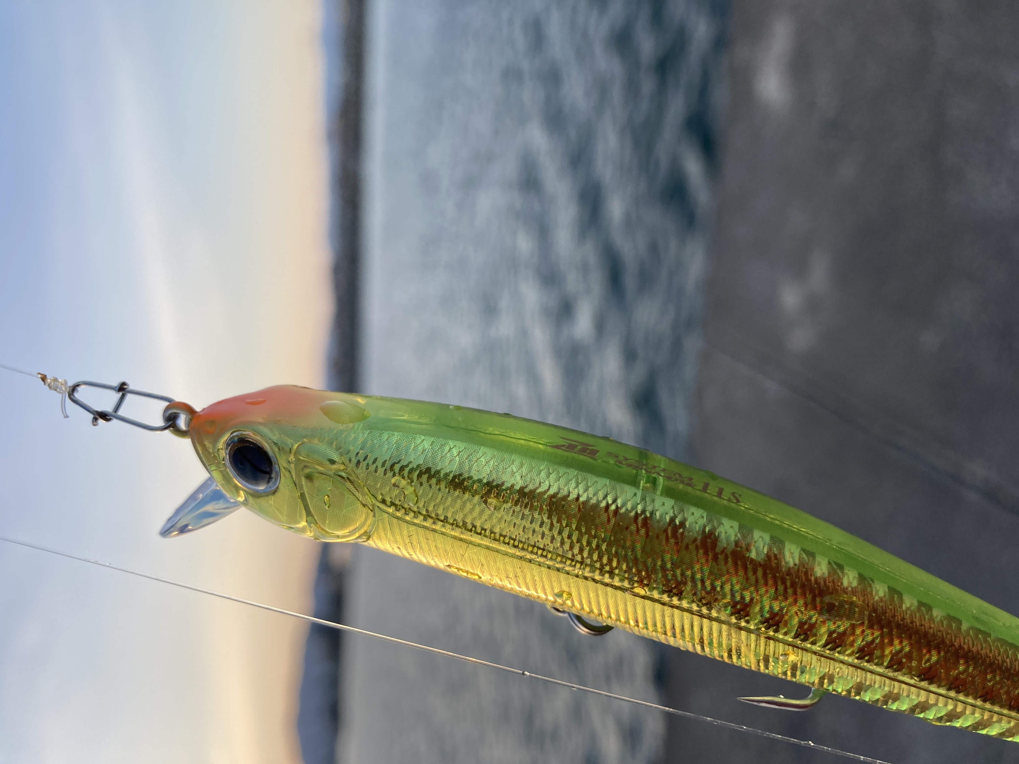  タイトル文（1）