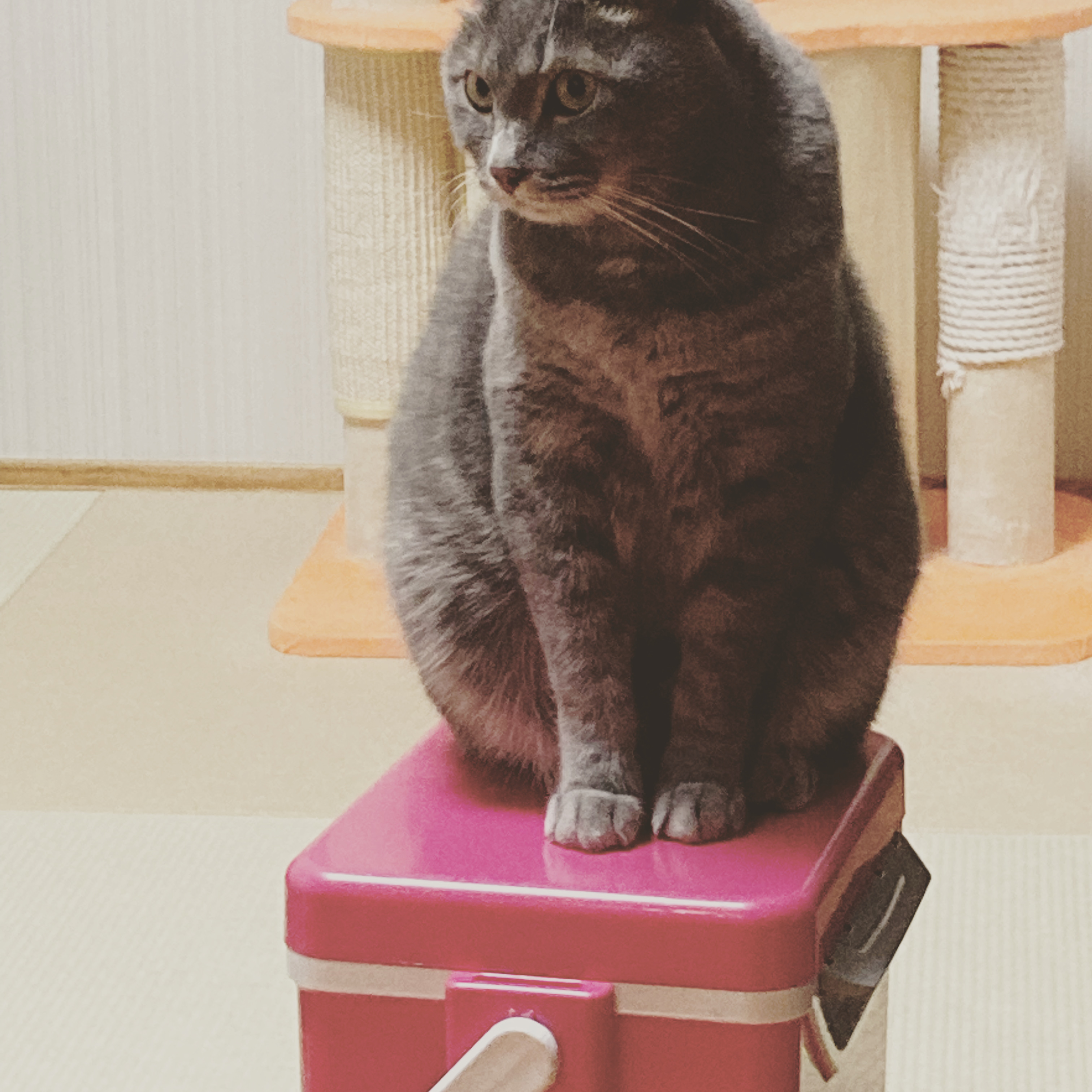  タイトル文（8）