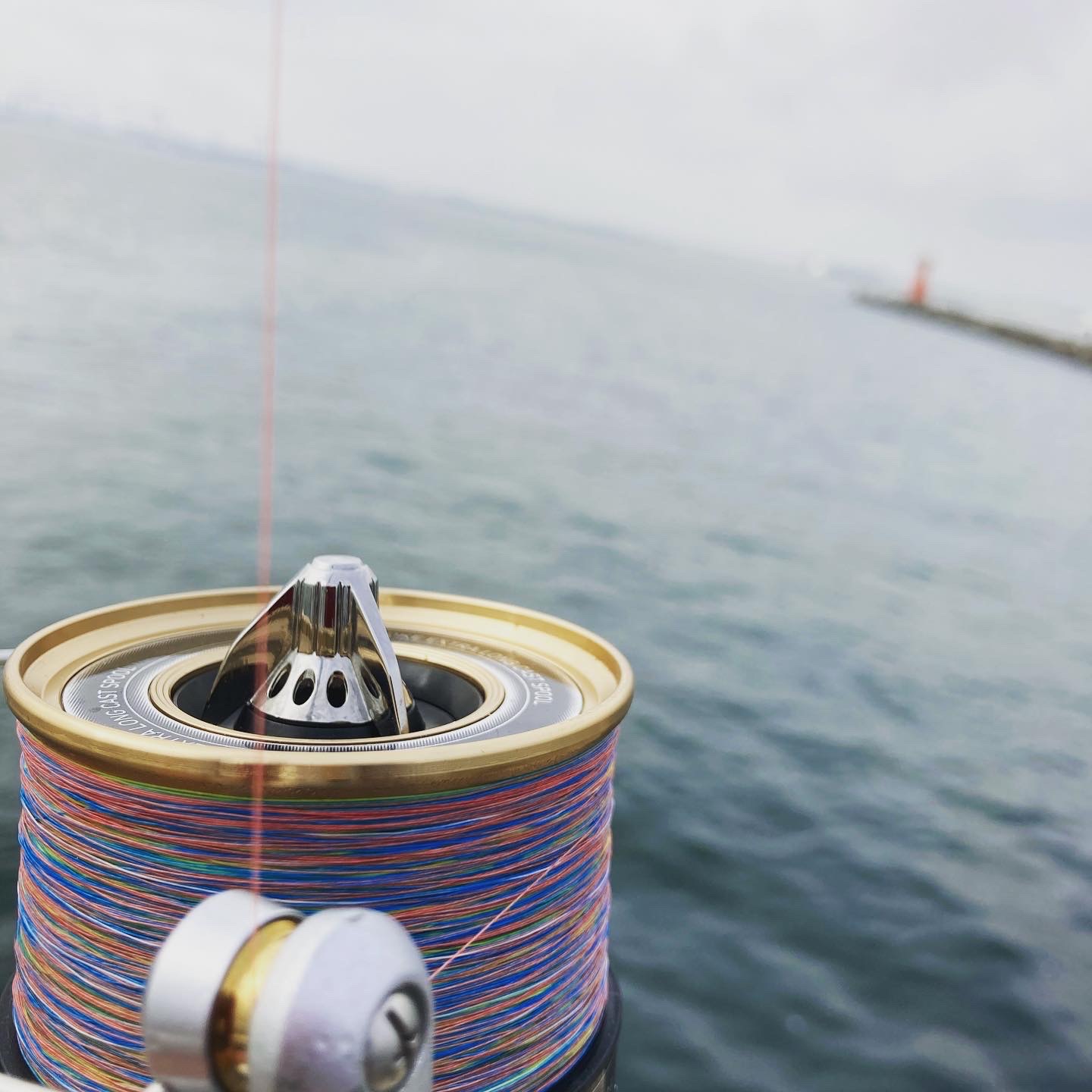  タイトル文（7）